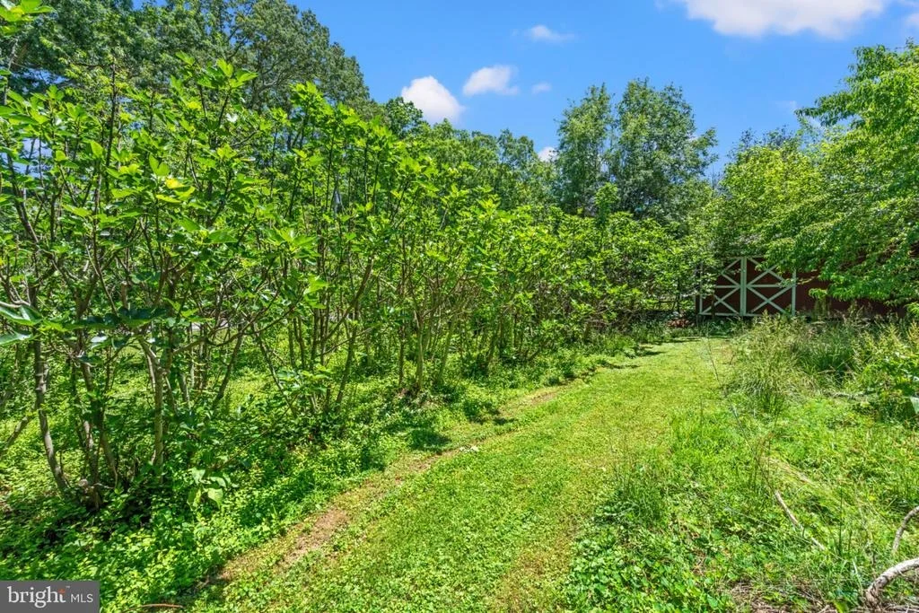 Photo of 4730 BICKNELL ROAD
