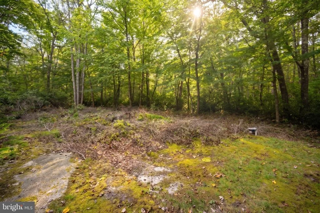 Photo of 252 RACOON DRIVE