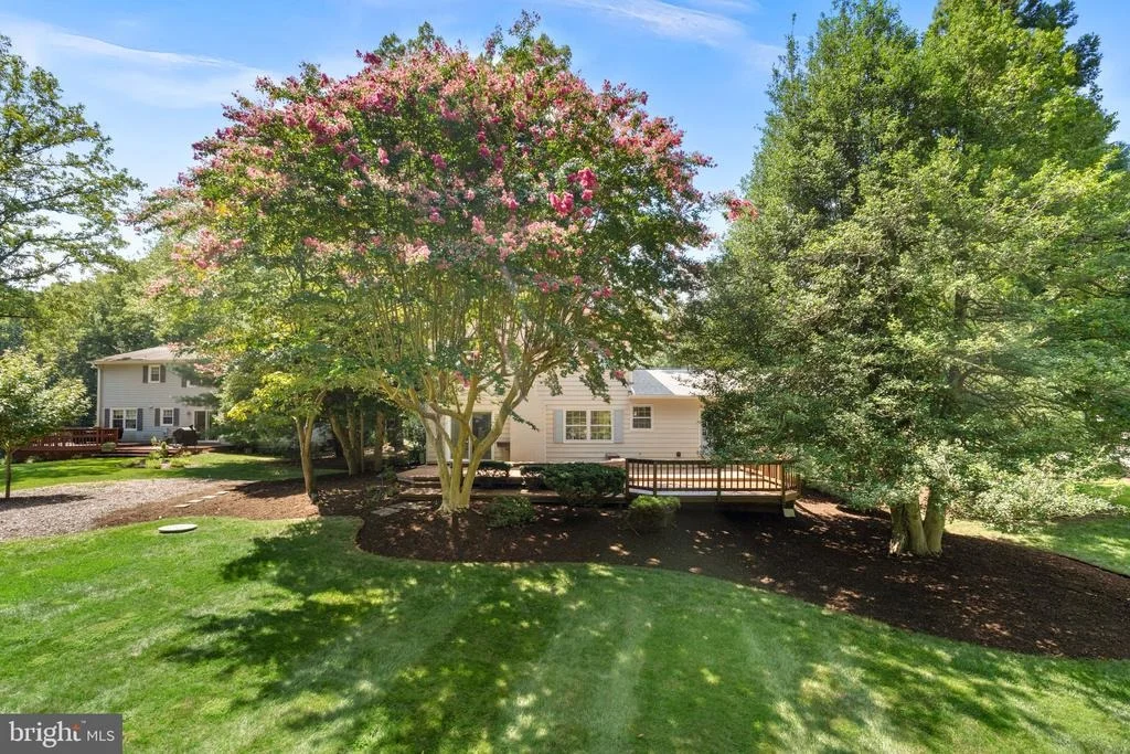 Photo of 3241 BETSY LANE