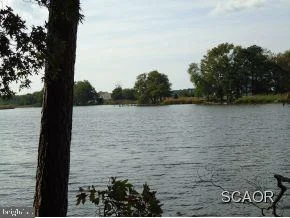 Photo of 40 WOODS RUN CIRCLE