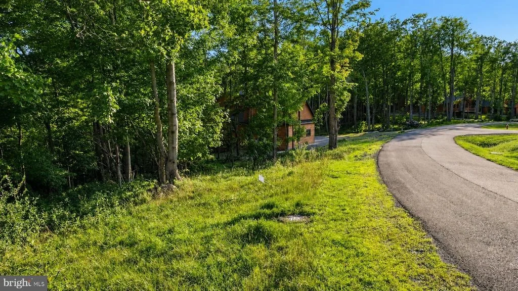 Photo of Lot 168 FORK RUN TRAIL