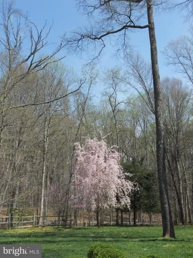 Photo of 450 RIVER BEND ROAD