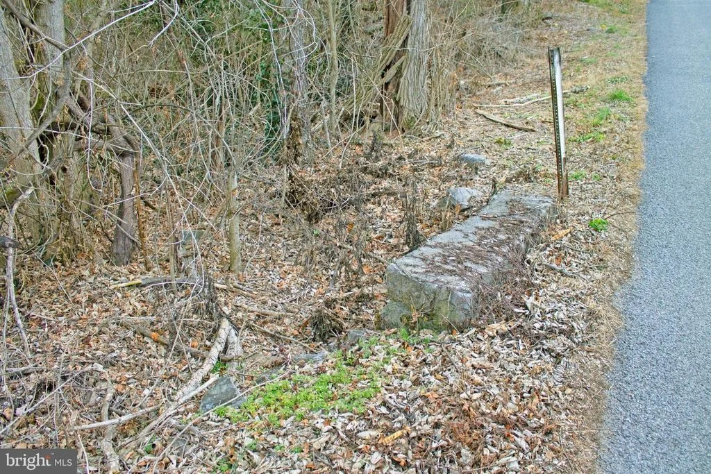 Photo of 8103 AVIS MILL ROAD