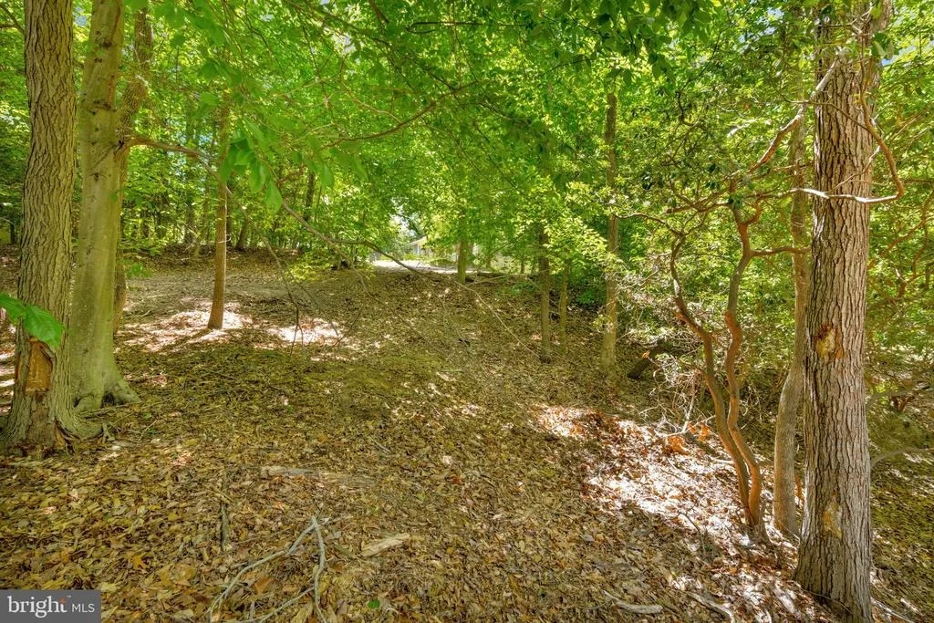 Photo of 12759 & 12763 TONKAWA TRAIL
