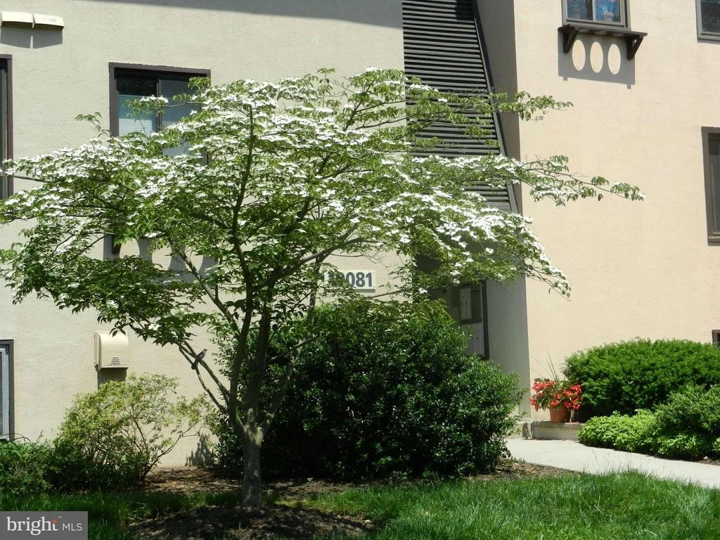 Photo of Unit 1 at 10081 WINDSTREAM DRIVE