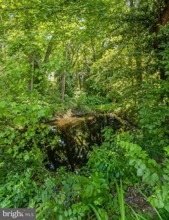 Photo of 28011 LINE ROAD