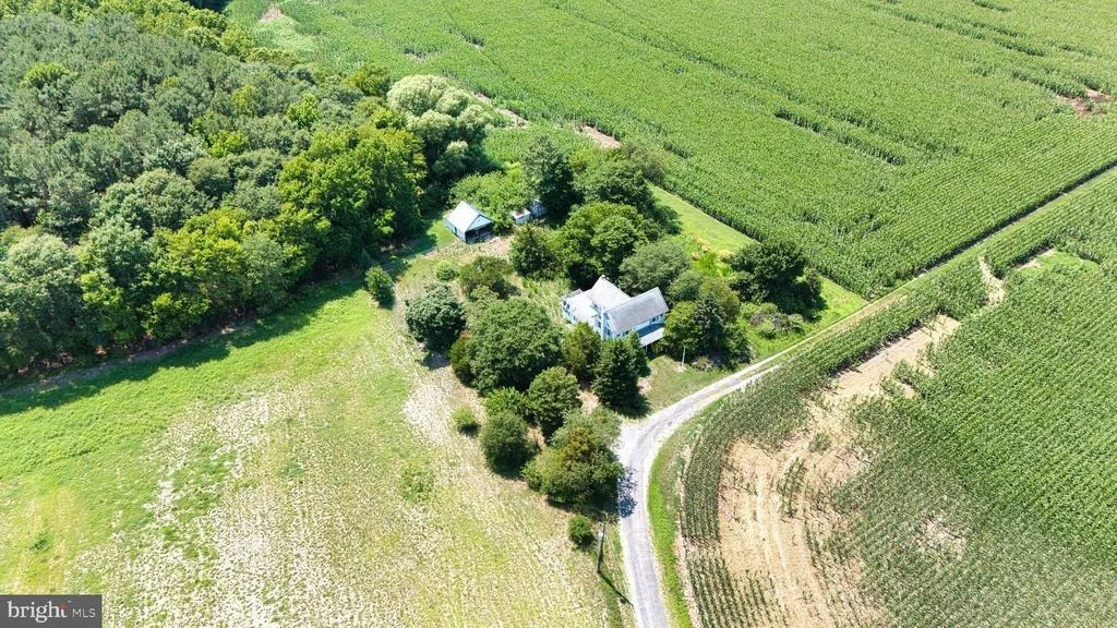 Photo of 3642 BLUE BIRD LANE