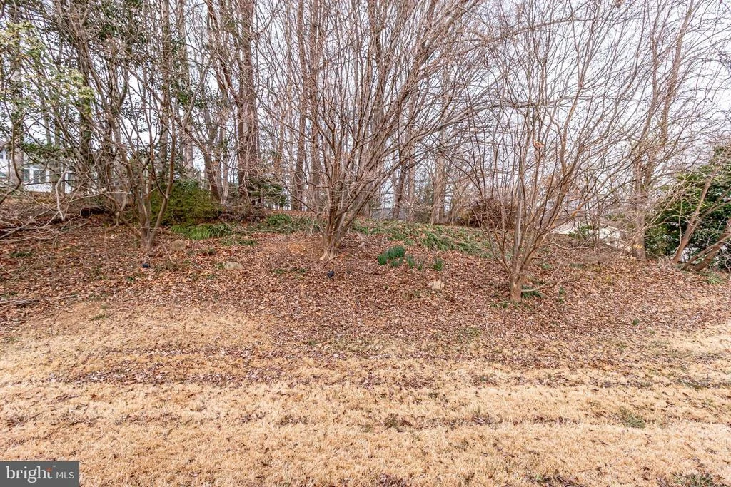 Photo of 5204 PUMPHREY DRIVE