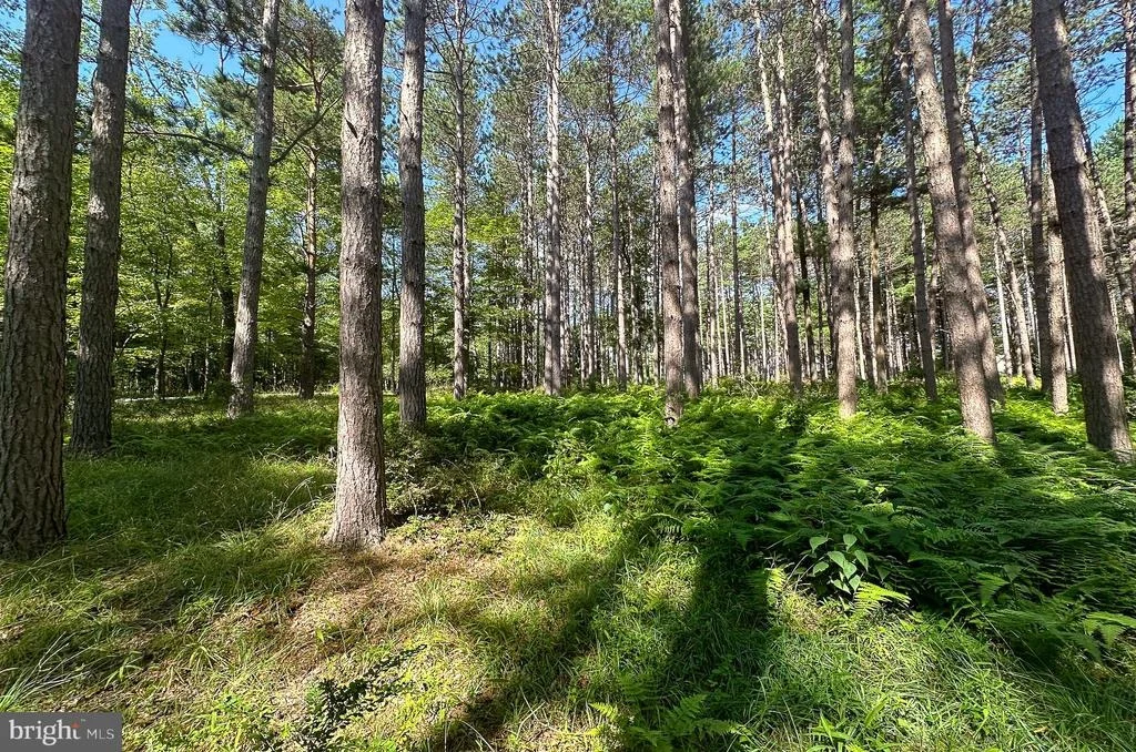 Photo of LOT 25 HOLY CROSS DRIVE