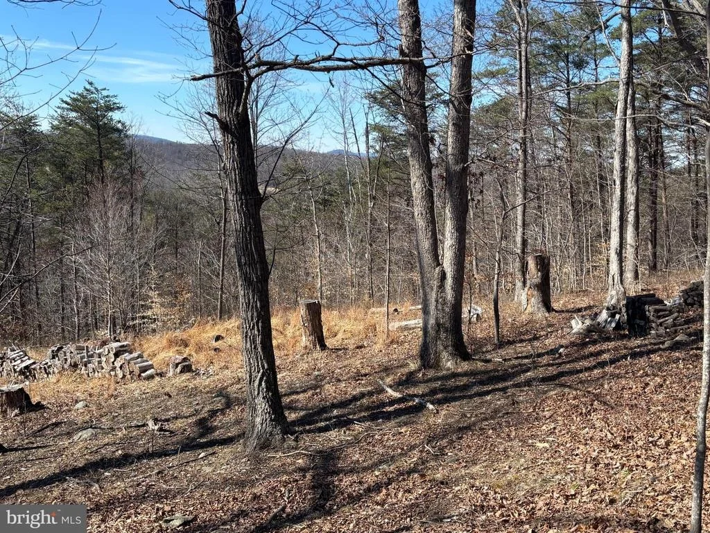 Photo of CARTERS RUN