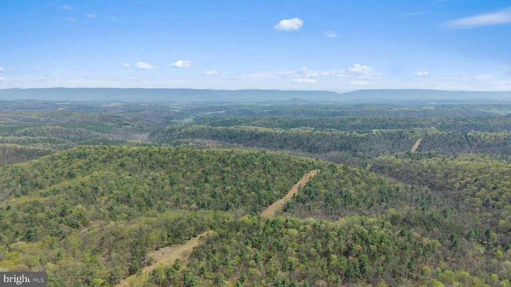 Photo of 4101 SUPINLICK RIDGE RD