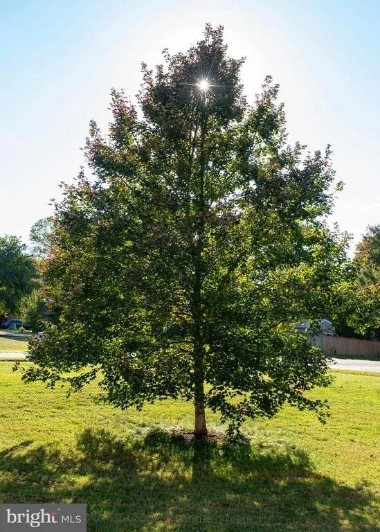 Photo of 17501 COLLIER CIRCLE