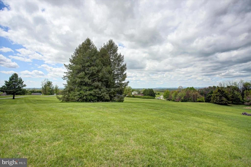 Photo of 8001 MAPLEVILLE ROAD