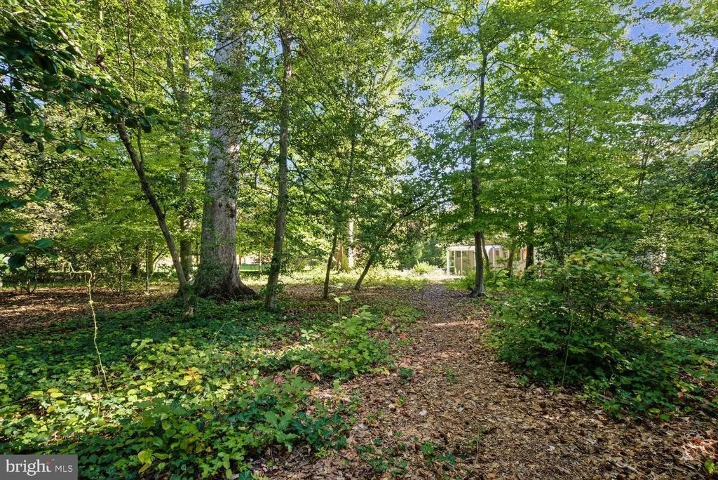 Photo of 9408 FOREST HAVEN DRIVE