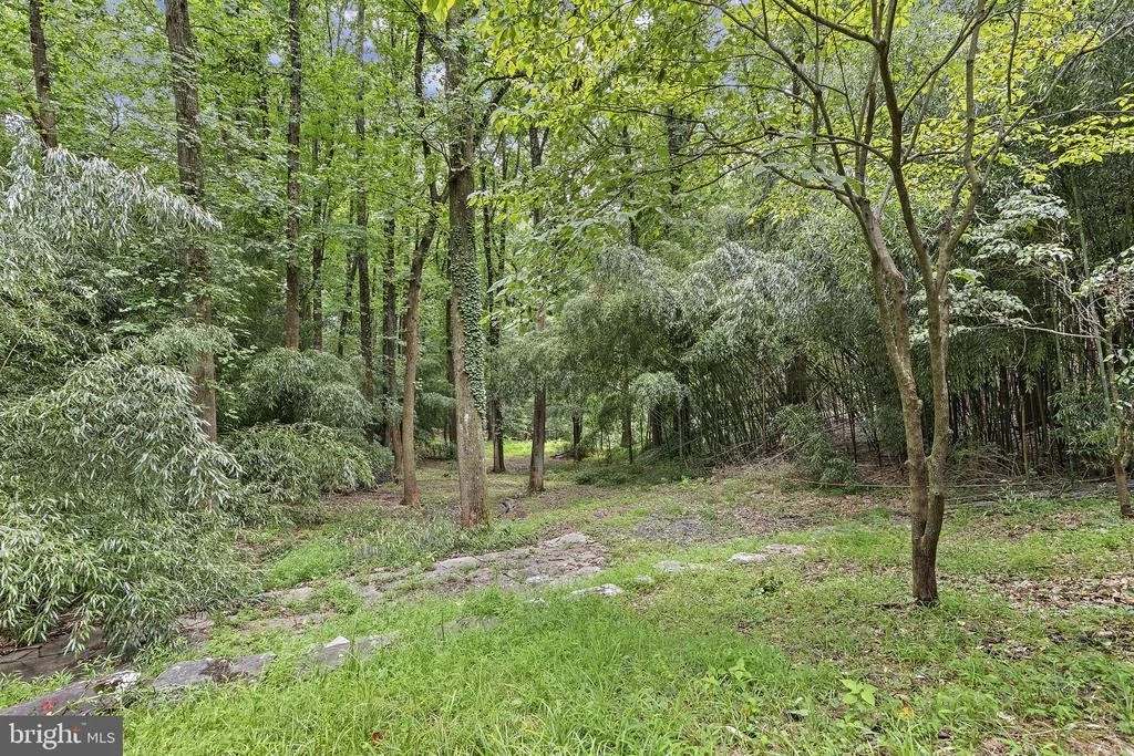 Photo of 3005 SYCAMORE COURT