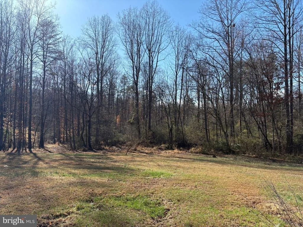 Photo of 1041 GEORGE JAMES LOOP