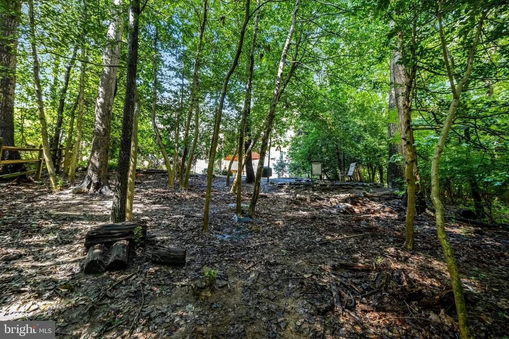 Photo of 10910 WILDER POINT LANE