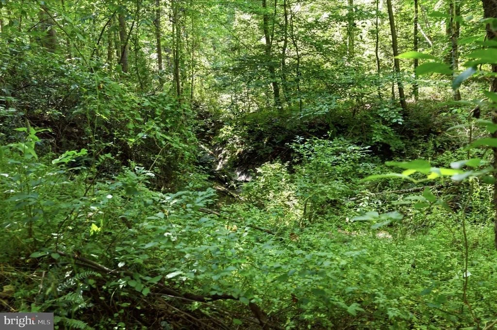 Photo of 13729 MARTIN ROAD