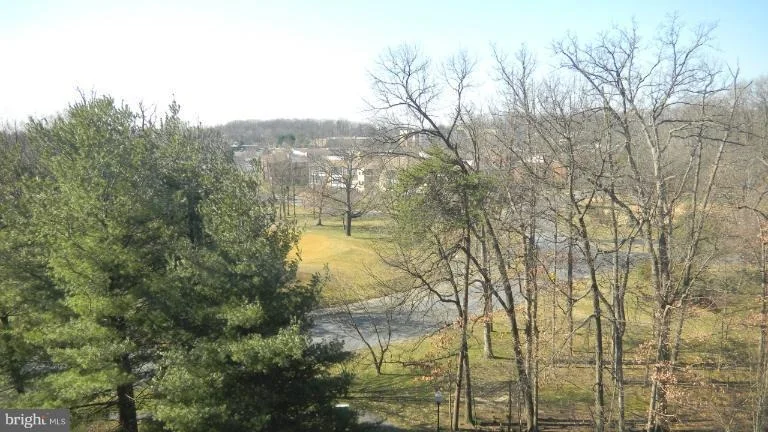 Photo of Unit 3608 at 15115 INTERLACHEN DRIVE