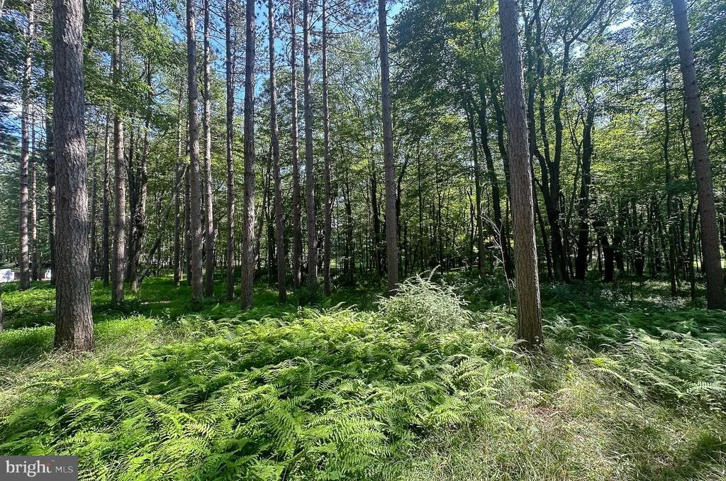 Photo of LOT 25 HOLY CROSS DRIVE
