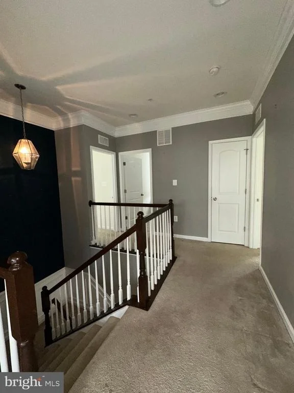 Photo of 8156 RIDGELY LOOP