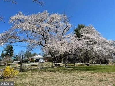 Photo of 224 SPRINGLOCH ROAD