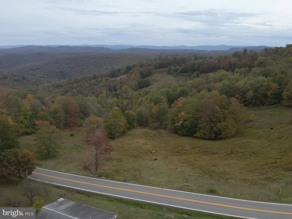 Photo of 11692 ADOLPH ROAD