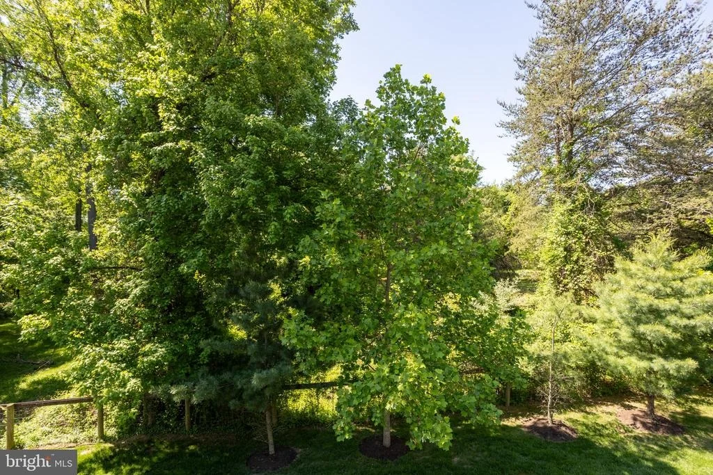 Photo of 6486 PARK FOREST CIRCLE