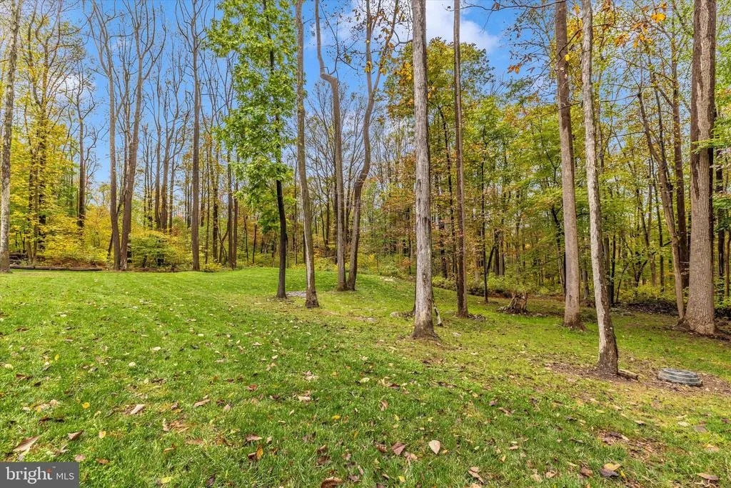 Photo of 4940 FOX TOWER ROAD