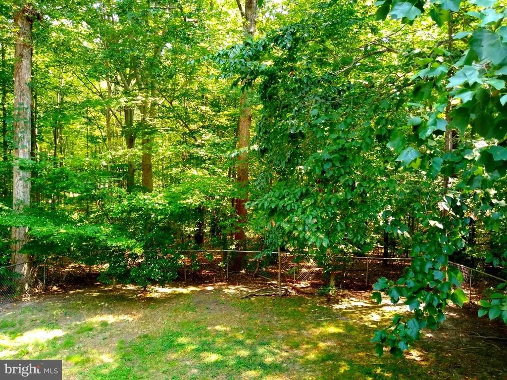 Photo of 12227 LARCH LANE