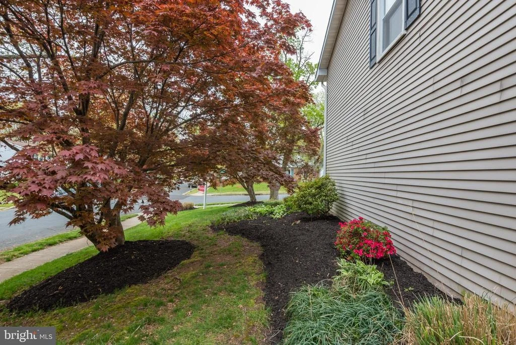 Photo of 2489 RED FALL COURT