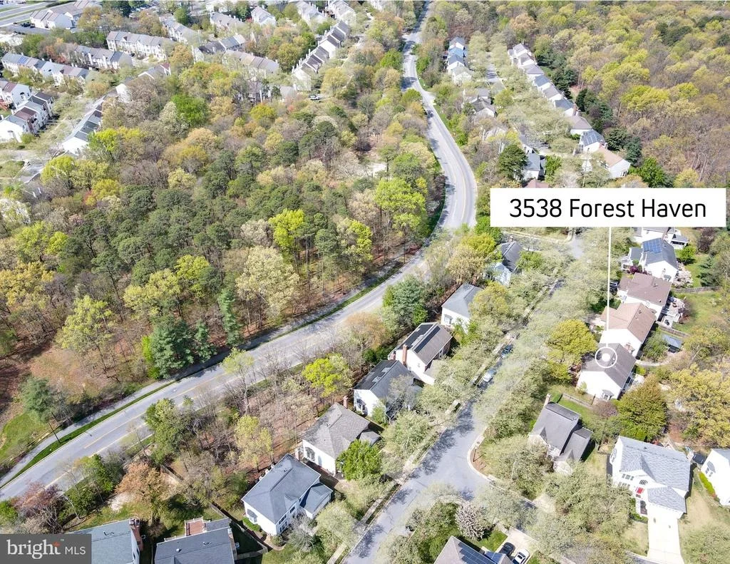 Photo of 3538 FOREST HAVEN DRIVE
