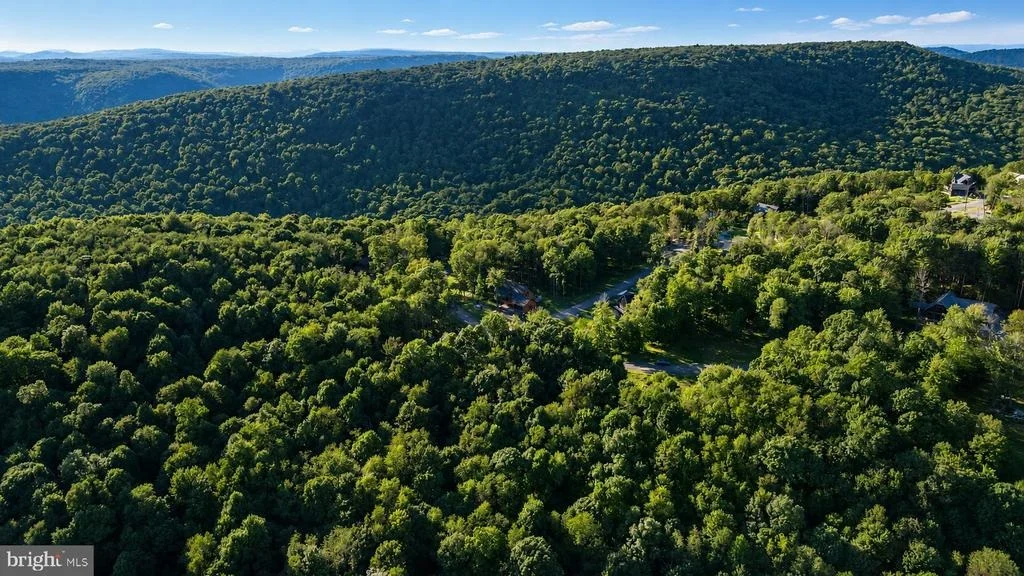 Photo of Lot 168 FORK RUN TRAIL