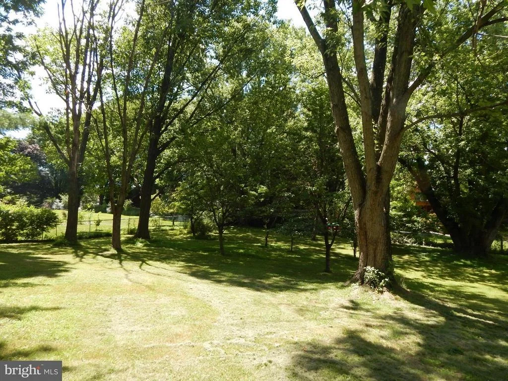 Photo of 1725 BRIGGS CHANEY ROAD