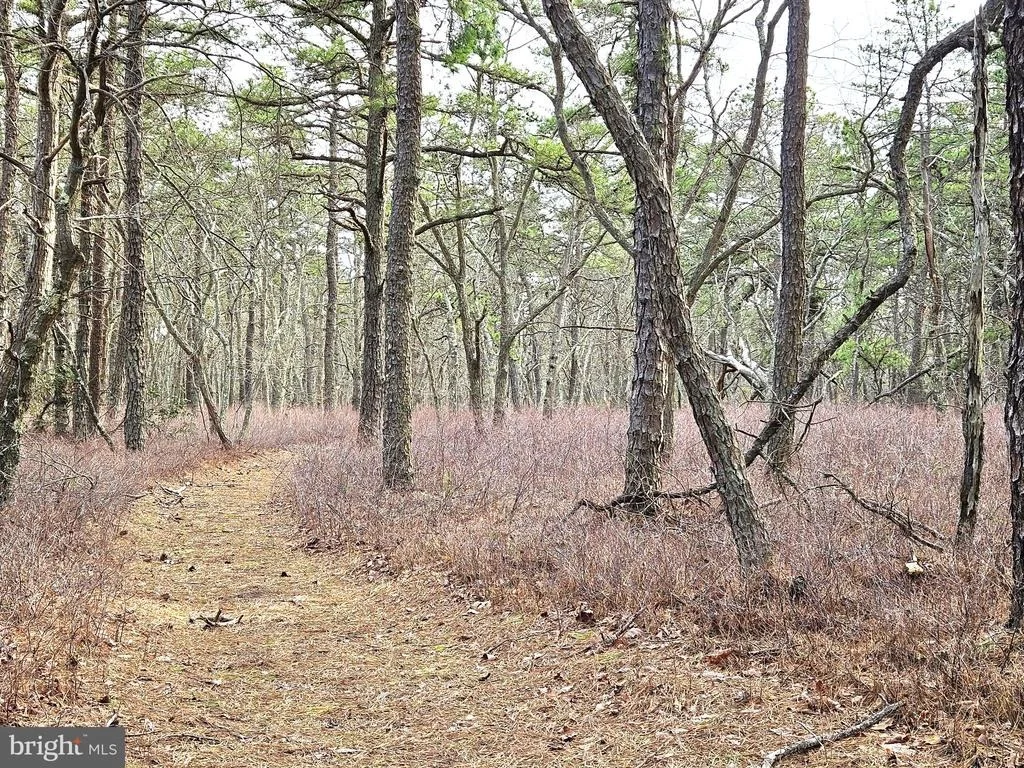 Photo of 0 BIRCHWOOD