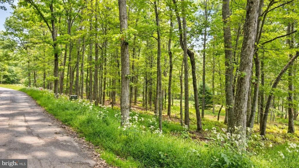Photo of Lot 12 POLAND HEIGHTS LANE