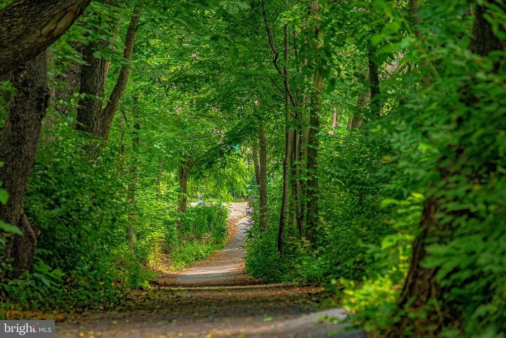 Photo of 2478 5 SHILLINGS ROAD