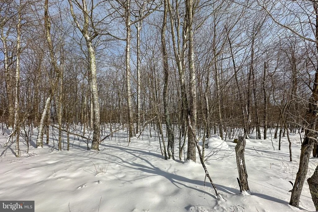 Photo of Lot 100 SNOWHAVEN LANE