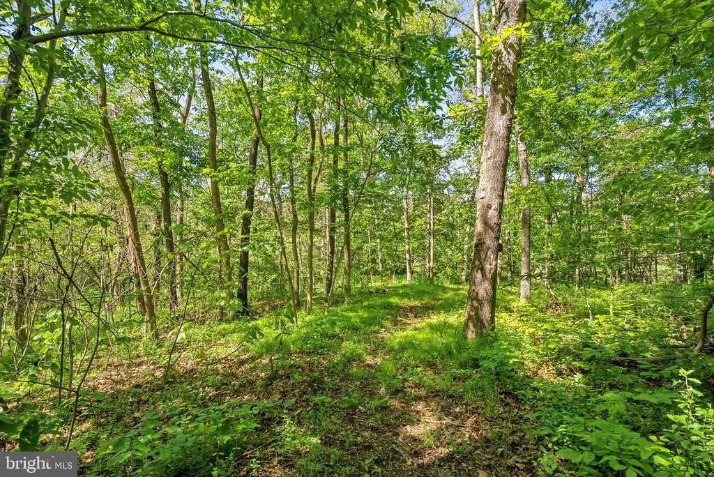 Photo of 12009 BOBWHITE DRIVE