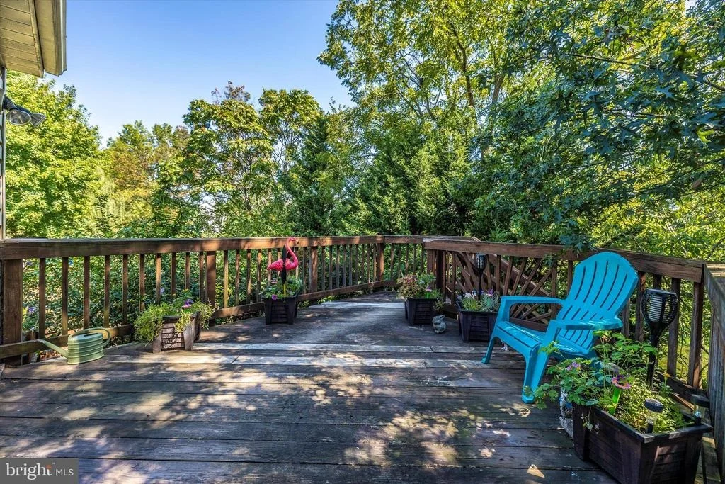 Photo of 1001 CHINABERRY DRIVE