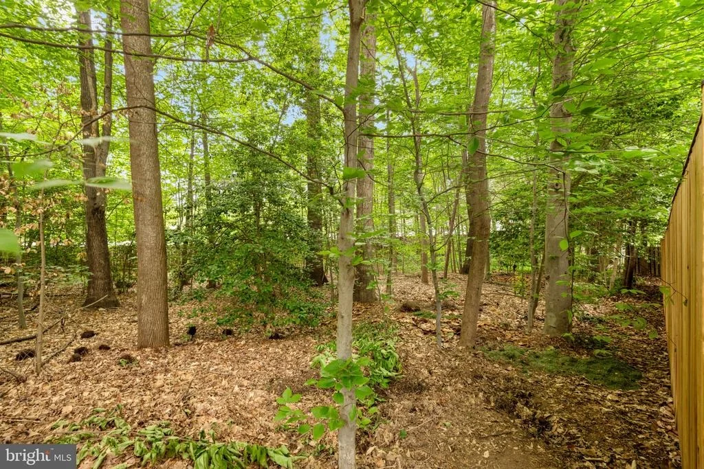 Photo of 9206 NORTHEDGE DRIVE