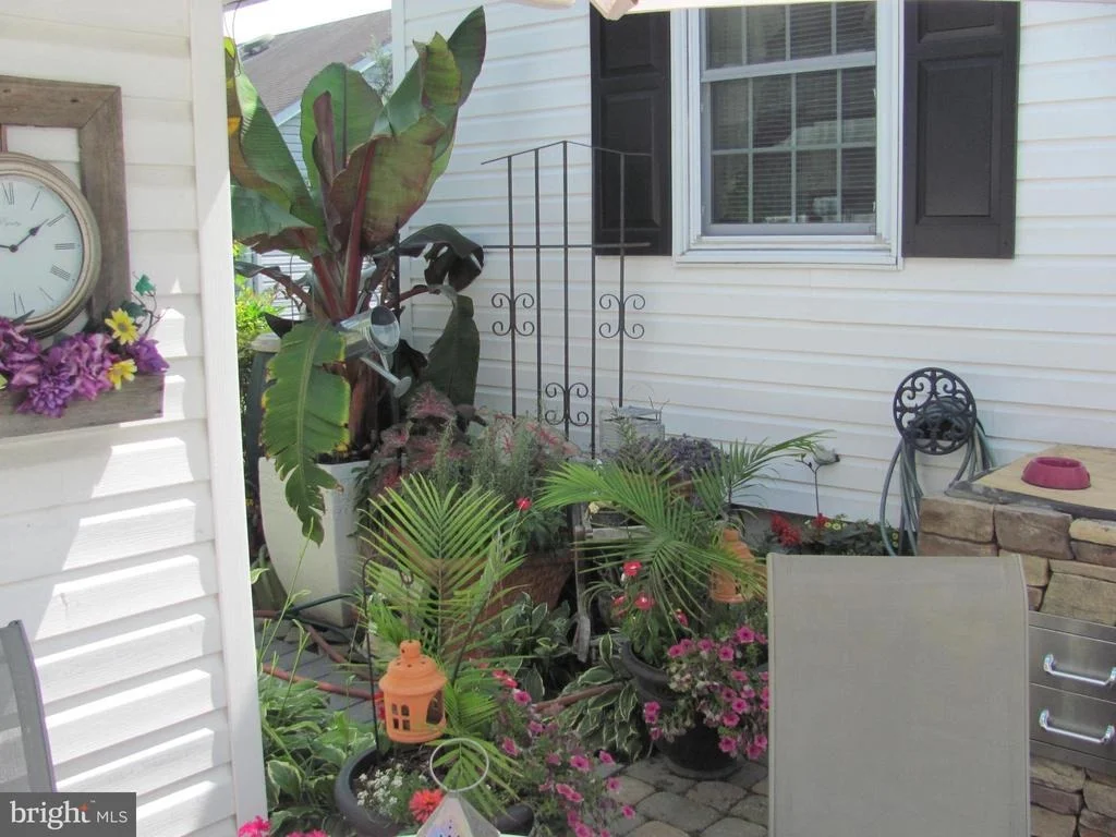 Photo of 19 HOLLY TERRACE
