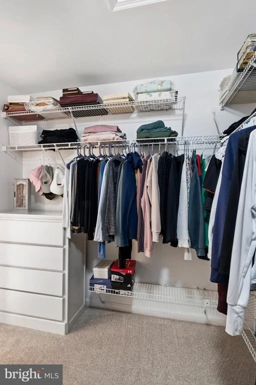 Photo of 2402 SUMMERSHADE COURT