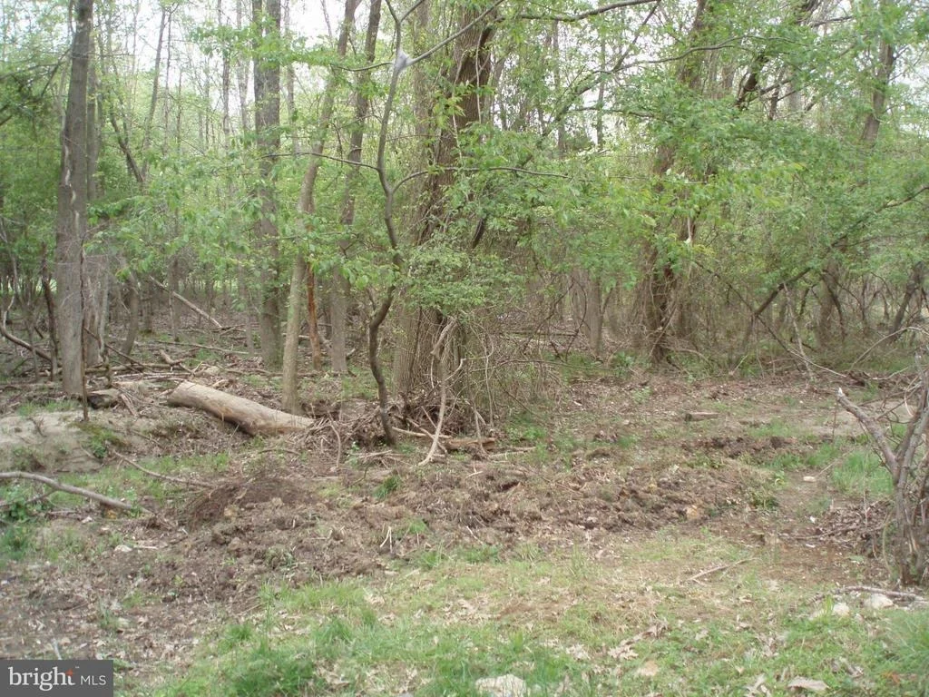 Photo of 3707 MARTINS DAIRY CIRCLE