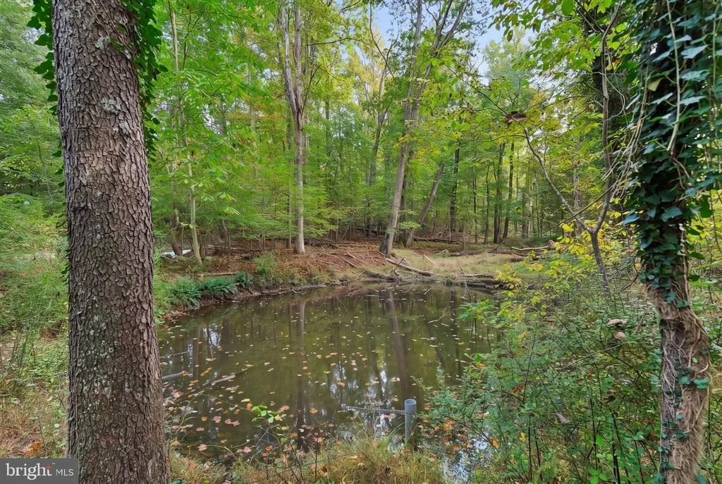 Photo of 14416 MANOR ROAD