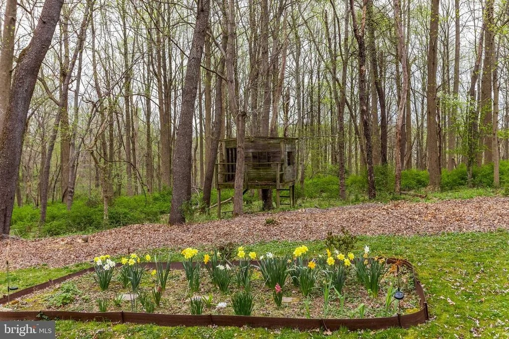 Photo of 16921 OLDE MILL RUN