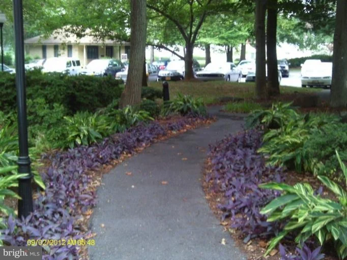 Photo of Unit 2305 at 15107 INTERLACHEN DRIVE