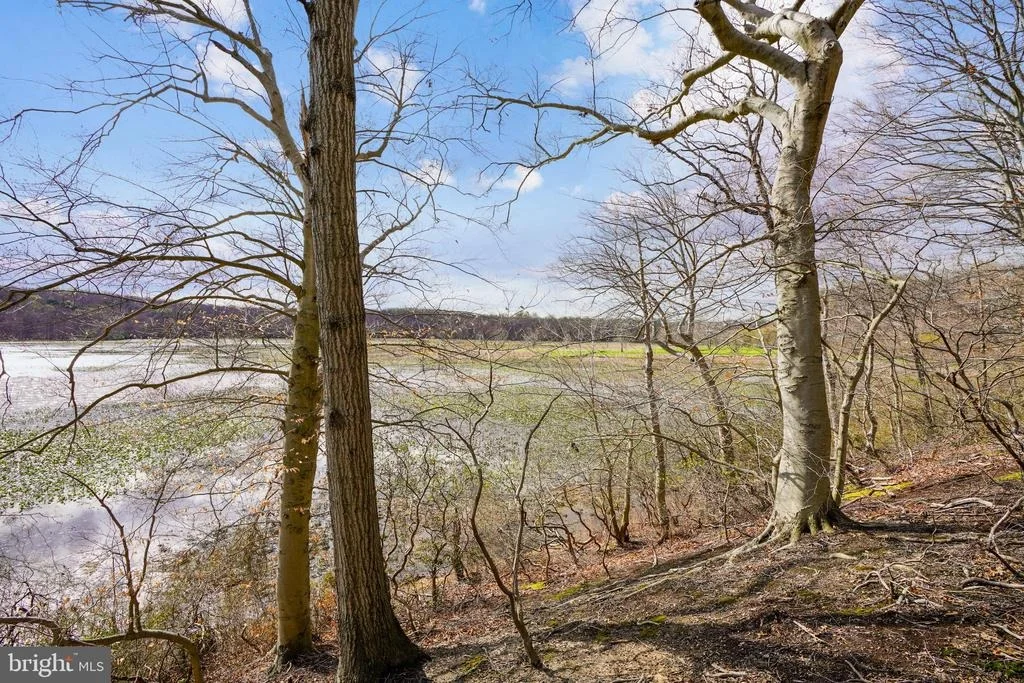 Photo of 8004 BIG POOL ROAD