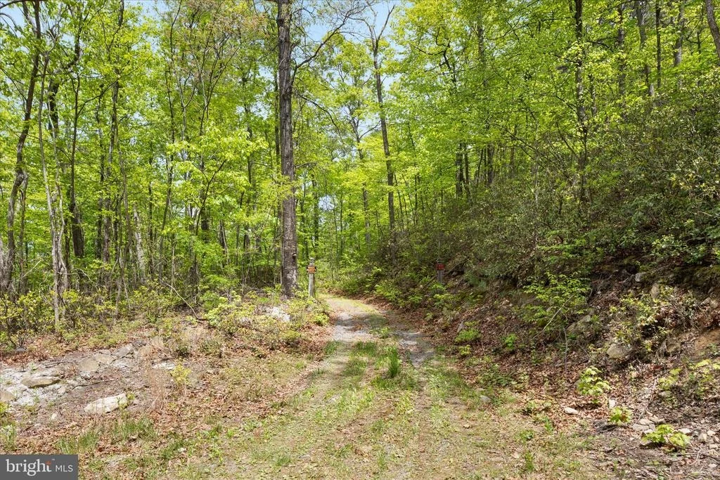 Photo of 551 SAWLOG