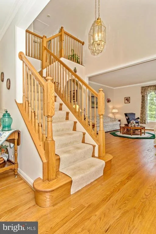 Photo of 2562 BEAR DEN ROAD